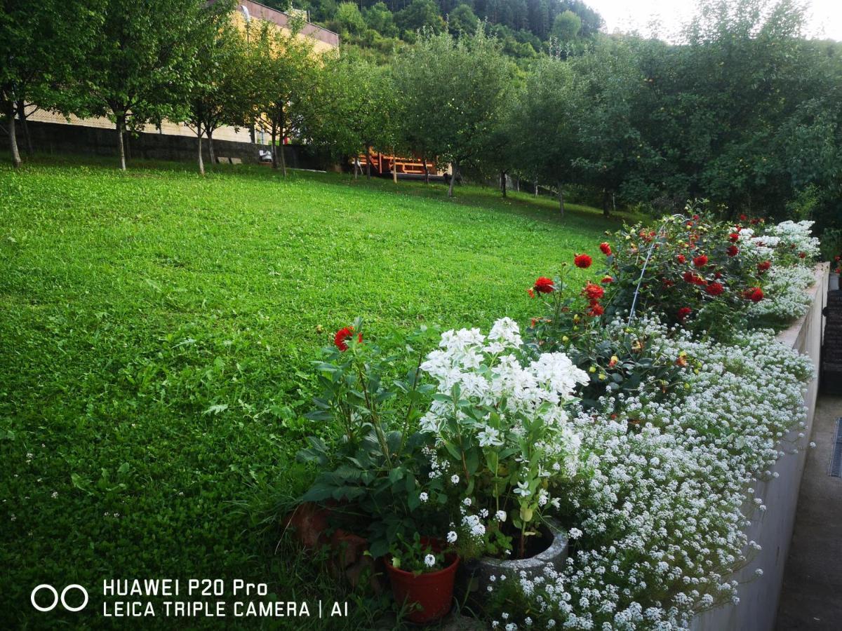 Edo Daire Visoko Dış mekan fotoğraf